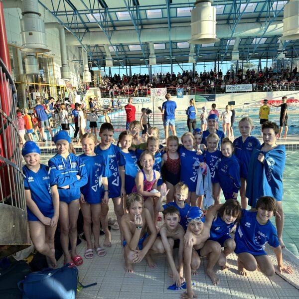 Kõik Meie Pardikesed I etapp